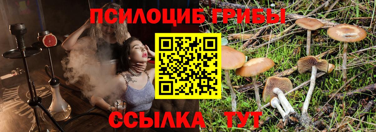 Псилоцибиновые грибы мицелий Асбест